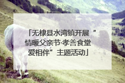 无棣县水湾镇开展“情暖父亲节·孝善食堂爱相伴”主题活动