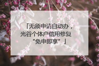 无须申请自动办，光谷个体户信用修复“免申即享”