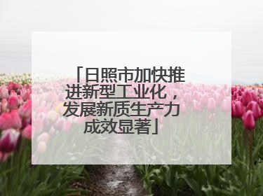 日照市加快推进新型工业化，发展新质生产力成效显著