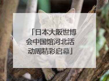 日本大阪世博会中国馆河北活动周精彩启幕