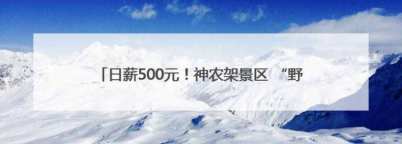 日薪500元！神农架景区 “野人” 热招，近4000人报名