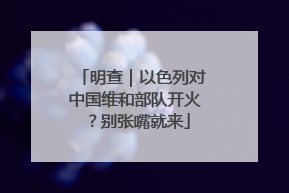 明查｜以色列对中国维和部队开火？别张嘴就来