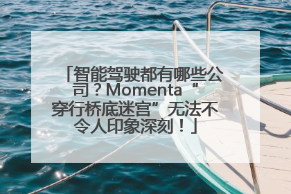 智能驾驶都有哪些公司？Momenta“穿行桥底迷宫”无法不令人印象深刻！