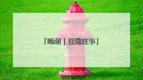 晚潮｜豆蔻往事