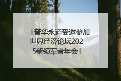 普华永道受邀参加世界经济论坛2025新领军者年会