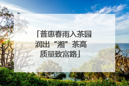 普惠春雨入茶园 润出“湘”茶高质量致富路