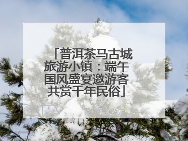 普洱茶马古城旅游小镇：端午国风盛宴邀游客共赏千年民俗