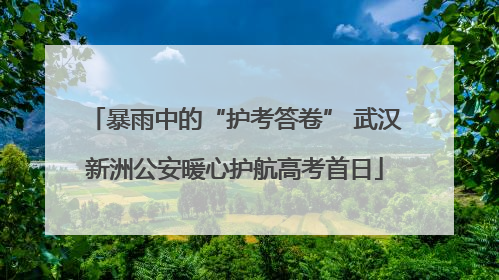 暴雨中的“护考答卷” 武汉新洲公安暖心护航高考首日
