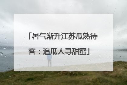 暑气渐升江苏瓜熟待客：追瓜人寻甜蜜