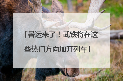 暑运来了！武铁将在这些热门方向加开列车
