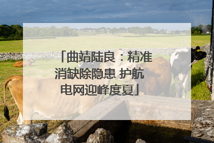 曲靖陆良：精准消缺除隐患 护航电网迎峰度夏