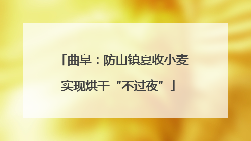 曲阜：防山镇夏收小麦实现烘干“不过夜”