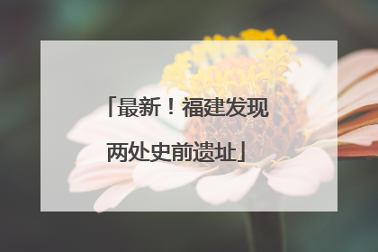 最新！福建发现两处史前遗址