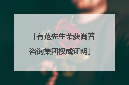 有范先生荣获尚普咨询集团权威证明