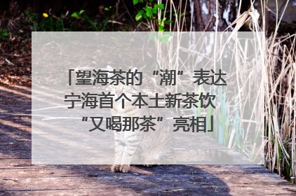 望海茶的“潮”表达 宁海首个本土新茶饮“又喝那茶”亮相