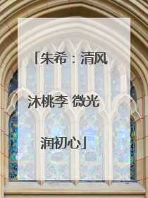 朱希：清风沐桃李 微光润初心