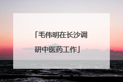 毛伟明在长沙调研中医药工作
