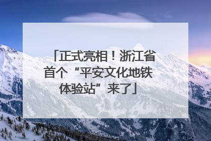 正式亮相！浙江省首个“平安文化地铁体验站”来了