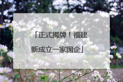 正式揭牌！福建新成立一家国企