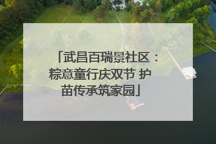 武昌百瑞景社区：粽意童行庆双节 护苗传承筑家园