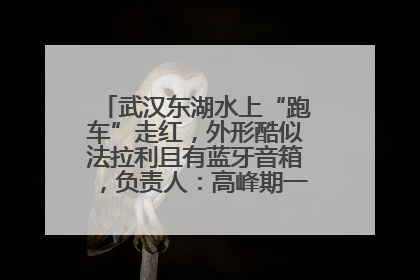 武汉东湖水上“跑车”走红，外形酷似法拉利且有蓝牙音箱，负责人：高峰期一两百人排队