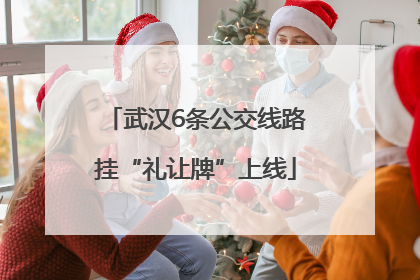武汉6条公交线路挂“礼让牌”上线