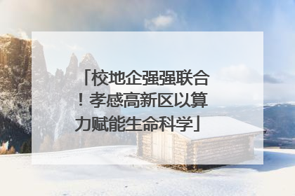 校地企强强联合！孝感高新区以算力赋能生命科学