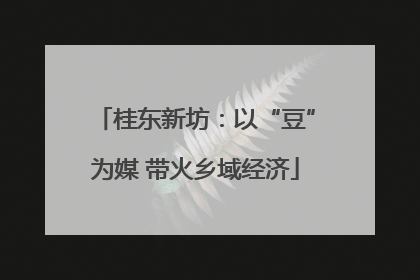 桂东新坊：以“豆”为媒 带火乡域经济
