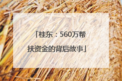 桂东：560万帮扶资金的背后故事