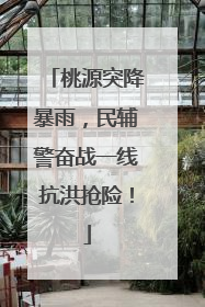 桃源突降暴雨，民辅警奋战一线抗洪抢险！