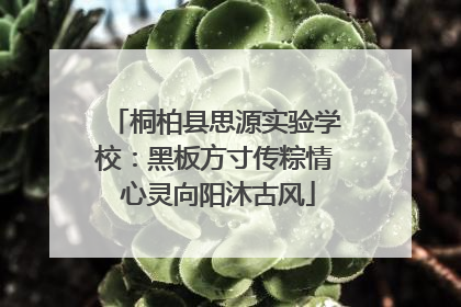 桐柏县思源实验学校：黑板方寸传粽情 心灵向阳沐古风