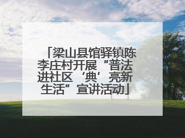 梁山县馆驿镇陈李庄村开展“普法进社区‘典’亮新生活”宣讲活动