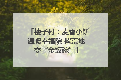 楼子村：麦香小饼温暖幸福院 撂荒地变“金饭碗”