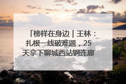 榜样在身边｜王林：扎根一线破难题，25天拿下聊城西站钢连廊“硬核”工程