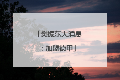 樊振东大消息：加盟德甲