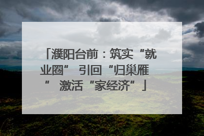 濮阳台前：筑实“就业圈” 引回“归巢雁” 激活“家经济”