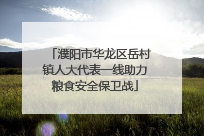 濮阳市华龙区岳村镇人大代表一线助力粮食安全保卫战