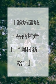潍坊诸城：岳西村走上“强村新路”