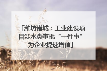 潍坊诸城：工业建设项目涉水类审批“一件事” 为企业提速增值
