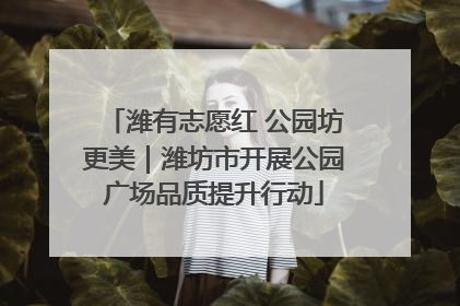 潍有志愿红 公园坊更美｜潍坊市开展公园广场品质提升行动