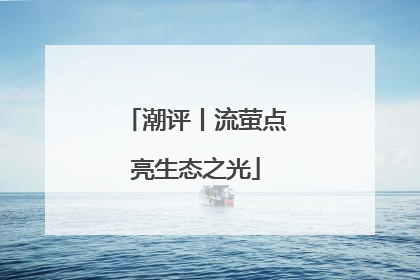 潮评丨流萤点亮生态之光