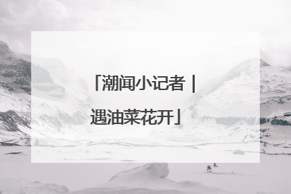 潮闻小记者｜遇油菜花开