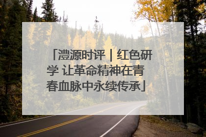 澧源时评｜红色研学 让革命精神在青春血脉中永续传承