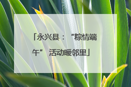 永兴县：“粽情端午” 活动暖邻里
