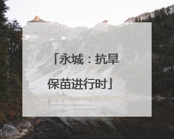 永城：抗旱保苗进行时