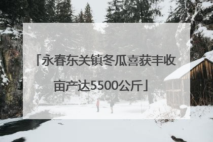 永春东关镇冬瓜喜获丰收 亩产达5500公斤