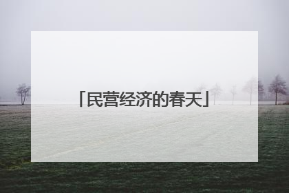 民营经济的春天
