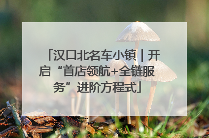 汉口北名车小镇｜开启“首店领航+全链服务”进阶方程式