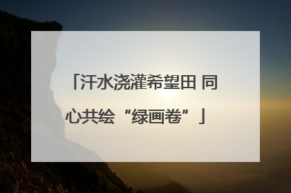 汗水浇灌希望田 同心共绘“绿画卷”