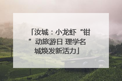 汝城：小龙虾“钳”动旅游日 理学名城焕发新活力